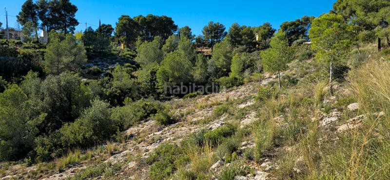 Foto 4223cfcc-e035-4640-a738-ec8fc6500cbb. Terreno residenziale in calle c/2 lloma molina 31 in Catadau