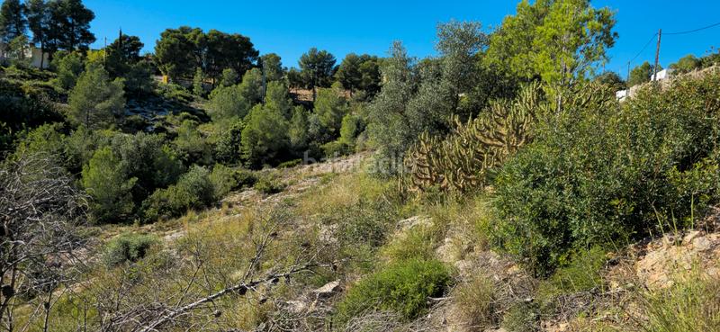 Foto 5b328dbc-9f31-4472-8b3f-98c402d38212. Terreno residenziale in calle c/2 lloma molina 31 in Catadau