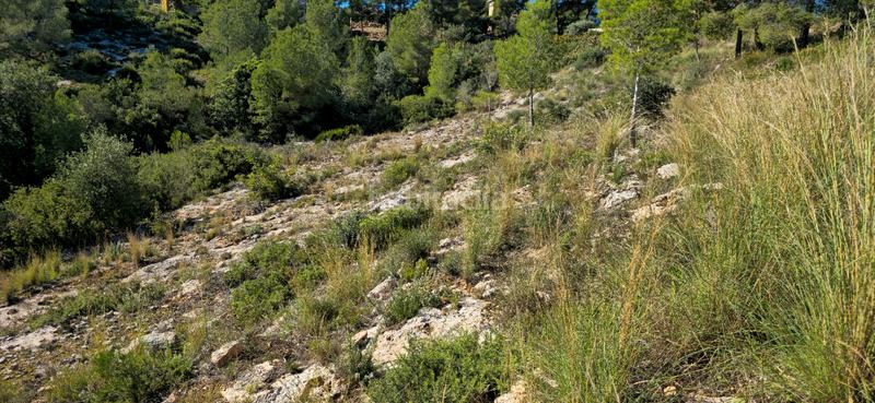 Foto 5bdbdae7-6034-427e-a9f2-fa2c6adbb8d5. Terreno residenziale in calle c/2 lloma molina 31 in Catadau