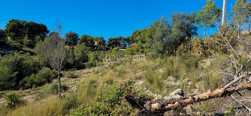 Foto 5e3fa680-ff77-434b-9a44-6255de571ae9. Terreno residenziale in calle c/2 lloma molina 31 in Catadau