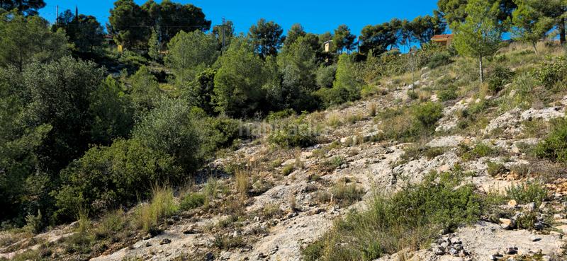 Foto 65fdf8e7-1d0b-4478-a5fd-2807a8ea05c9. Terreno residenziale in calle c/2 lloma molina 31 in Catadau