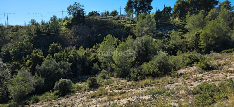 Foto 66ee17ff-e830-42c9-9748-457a5c484a7b. Terreno residenziale in calle c/2 lloma molina 31 in Catadau