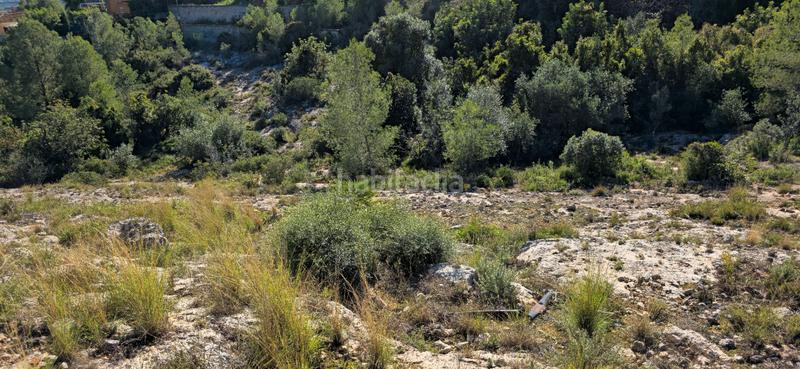 Foto 67daf9c8-6201-46c4-8e3e-dd0be255402c. Terreno residenziale in calle c/2 lloma molina 31 in Catadau