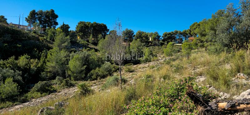 Foto 6c4429ed-36df-42ba-9fbf-5bac64be13a5. Terreno residenziale in calle c/2 lloma molina 31 in Catadau