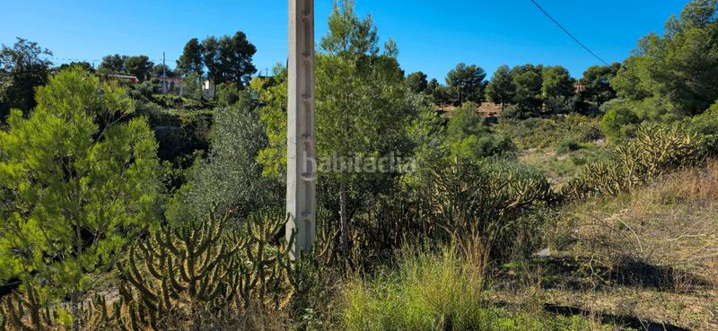 Foto 6d70e874-edec-47b3-935d-bef7ade752d9. Terreno residenziale in calle c/2 lloma molina 31 in Catadau