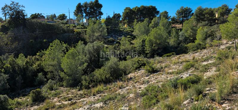 Foto 9e862157-d1f9-4ecf-b81f-65861de074d2. Terreno residenziale in calle c/2 lloma molina 31 in Catadau