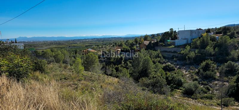 Foto a30b43b0-06e5-4ebf-ab1a-c27e203b50f6. Terreno residenziale in calle c/2 lloma molina 31 in Catadau
