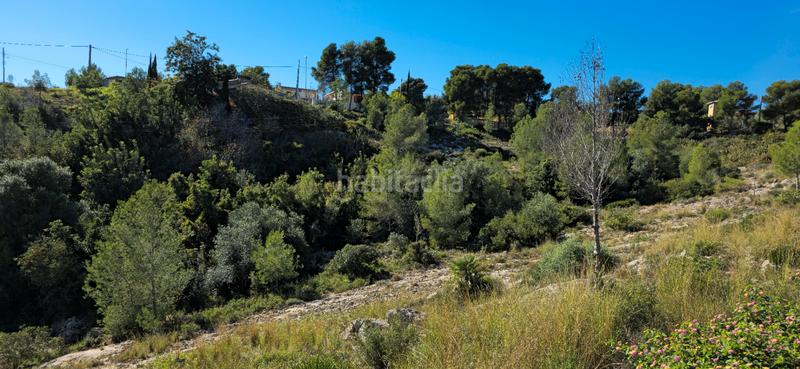 Foto b0d8780a-cd82-41e9-843c-3ab30a39ea4a. Terreno residenziale in calle c/2 lloma molina 31 in Catadau