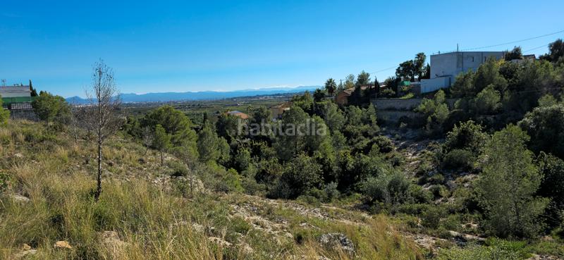 Foto b5d3b354-7a63-4bd7-bb4f-7e16626d4c8e. Terreno residenziale in calle c/2 lloma molina 31 in Catadau