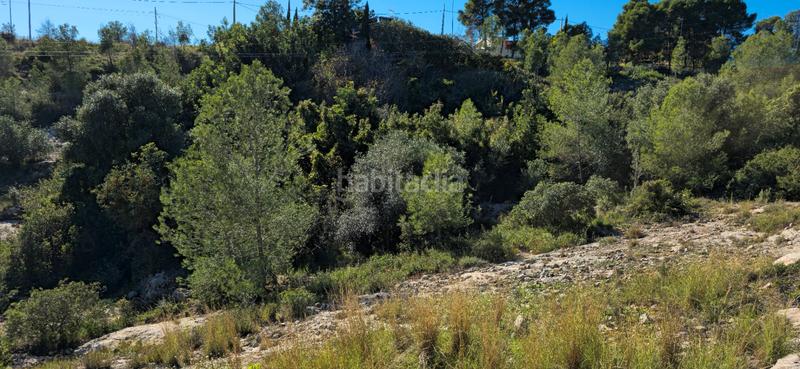 Foto b74a47d2-1903-4072-bf3c-09b06bddcc88. Terreno residenziale in calle c/2 lloma molina 31 in Catadau