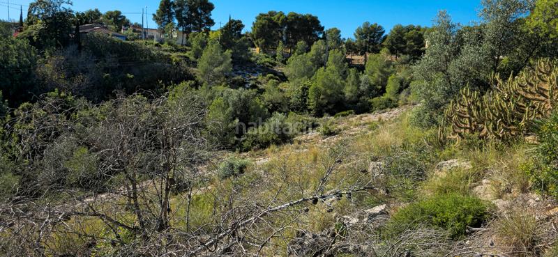 Foto bdce9ab2-3a36-487b-809e-1bb5ba7712e2. Terreno residenziale in calle c/2 lloma molina 31 in Catadau