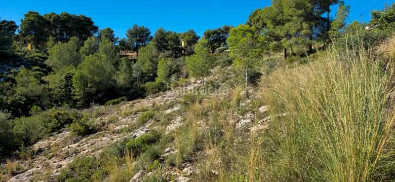 Foto c3b5ef6e-b680-4e42-9af8-42b7bf92afce. Terreno residenziale in calle c/2 lloma molina 31 in Catadau
