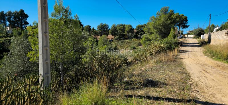 Foto f453b426-833e-4690-afbd-0a7a549e6df9. Terreno residenziale in calle c/2 lloma molina 31 in Catadau