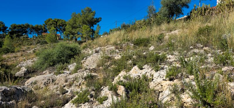 Foto fd1e0a81-579a-45b0-a7b2-b1325b5c1730. Terreno residenziale in calle c/2 lloma molina 31 in Catadau