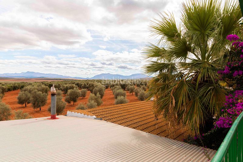 Foto aa28bedf-12bd-46d4-975c-6b43c726fba4. Maison dans polígono 15 parcela 60 el vinculo. Campillos (málaga) dans Campillos