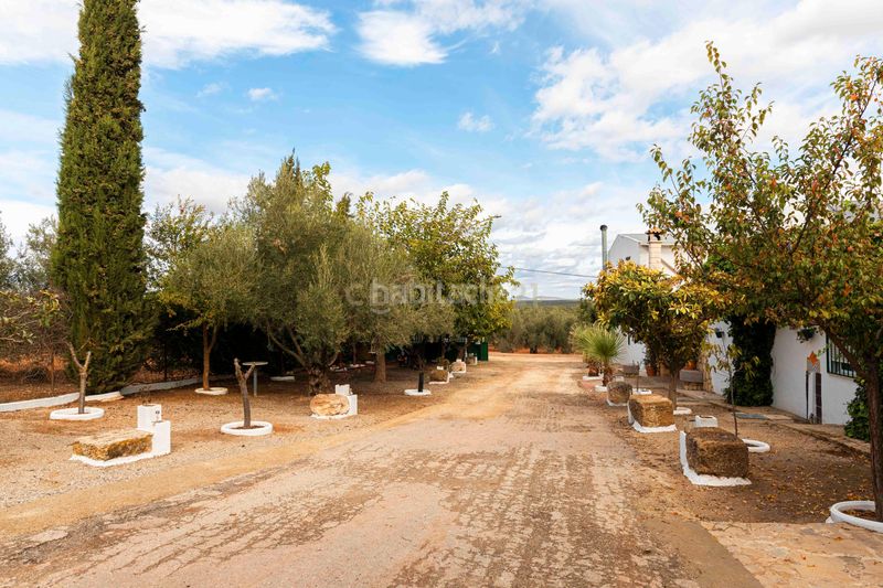 Foto b813a62a-2ba5-427d-bd3e-a6bede88fc42. Maison dans polígono 15 parcela 60 el vinculo. Campillos (málaga) dans Campillos