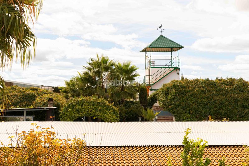 Foto da4df150-b533-45a7-bf9f-f19f86c1422e. Maison dans polígono 15 parcela 60 el vinculo. Campillos (málaga) dans Campillos