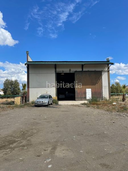 Foto 70ba5192-f767-4683-8ffd-22342cd848f9. Rural plot in cartama in Centro Alhaurín el Grande