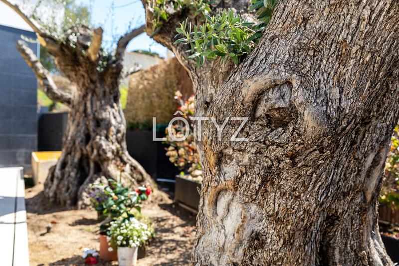 Foto 1968c9bb-c8e6-4809-89f2-686a3464f476. Lloguer casa amb xemeneia calefacció aparcament piscina a Platja d´Aro