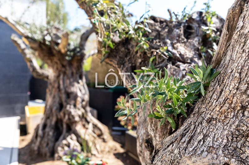 Foto e01beb2b-9403-4c37-8f93-bf2a62ec3679. Lloguer casa amb xemeneia calefacció aparcament piscina a Platja d´Aro