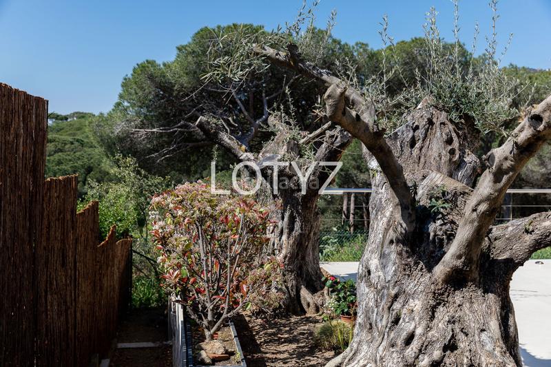 Foto e3526b38-b1e8-4743-b740-544399c4540d. Lloguer casa amb xemeneia calefacció aparcament piscina a Platja d´Aro