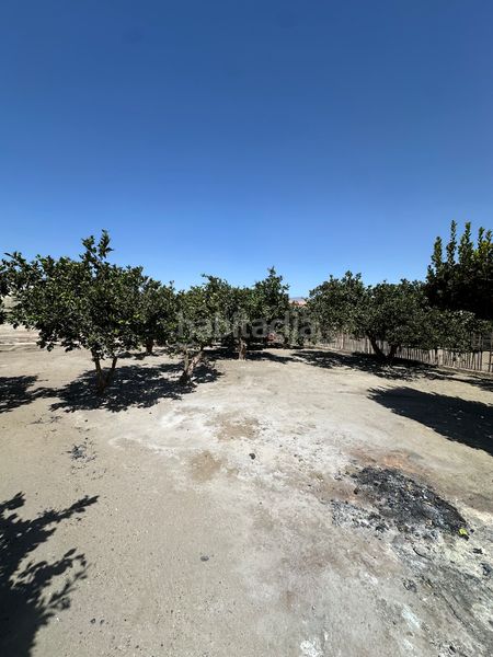 Foto 91a780ef-665d-4317-ad33-138c1dc37ee1. Xalet amb xemeneia aparcament a Los Ángeles - Cruz de Caravaca Almería