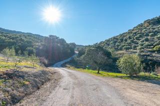 Finca rústica a Camino alcaudete. Gran oportunidad finca de olivos en alcaudete