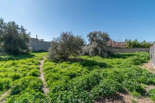 Terreny residencial a Calle calle sancho panza 21. Finca en churriana de la vega