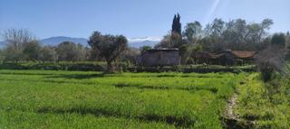 Finca rústica en Otura. Parcela rústica en otura