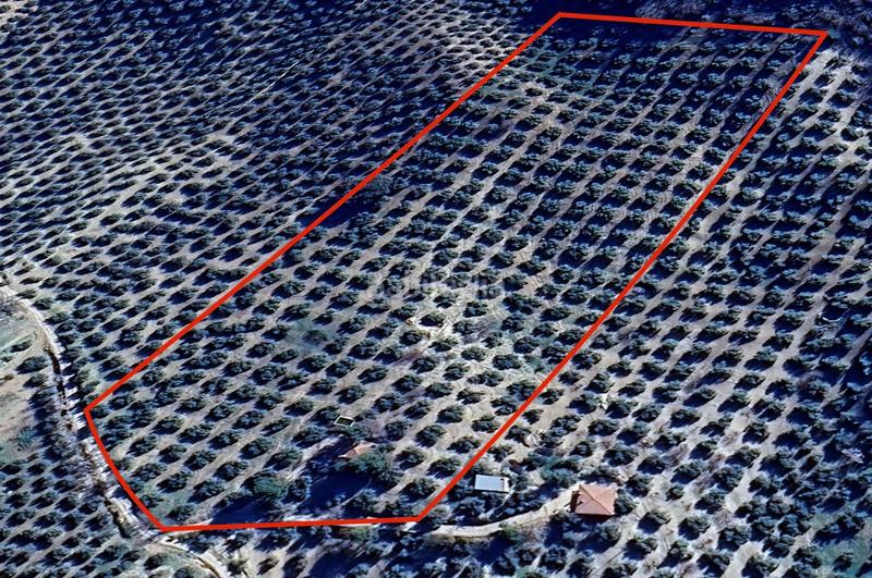 Foto 0376b602-e6b4-47c6-946f-d12cbc1c1100. Finca rústica a Montefrío