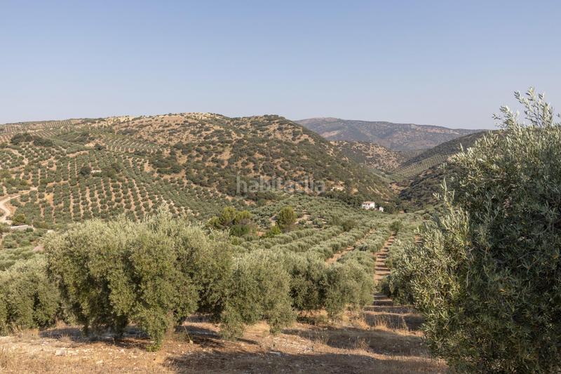 Foto 50a751ee-d93f-4c47-ac88-c82a218df18e. Finca rústica a Montefrío