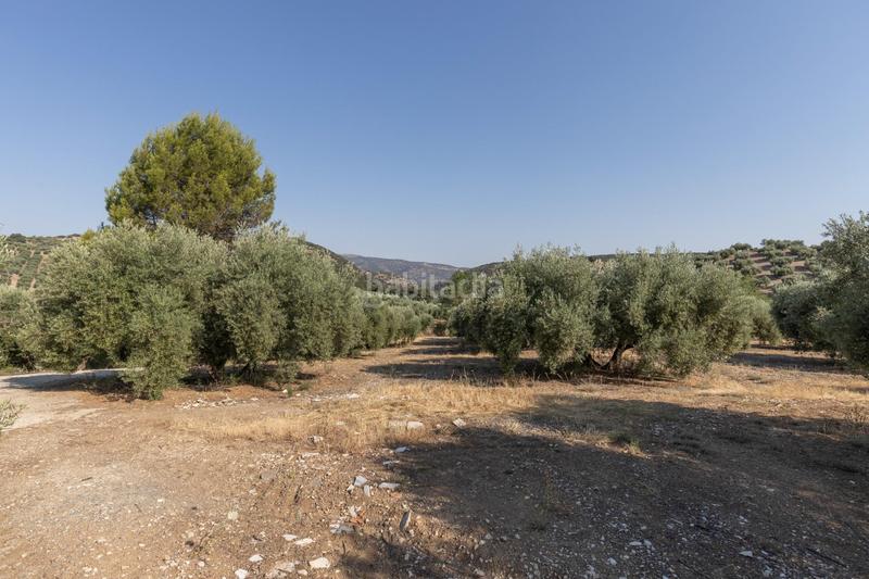 Foto 58b32a34-e6f7-4129-8481-5a69442672e4. Finca rústica a Montefrío