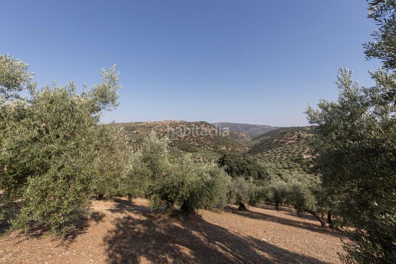 Foto 6b1b1bb7-dab8-4c26-8403-9c9502842144. Finca rústica a Montefrío