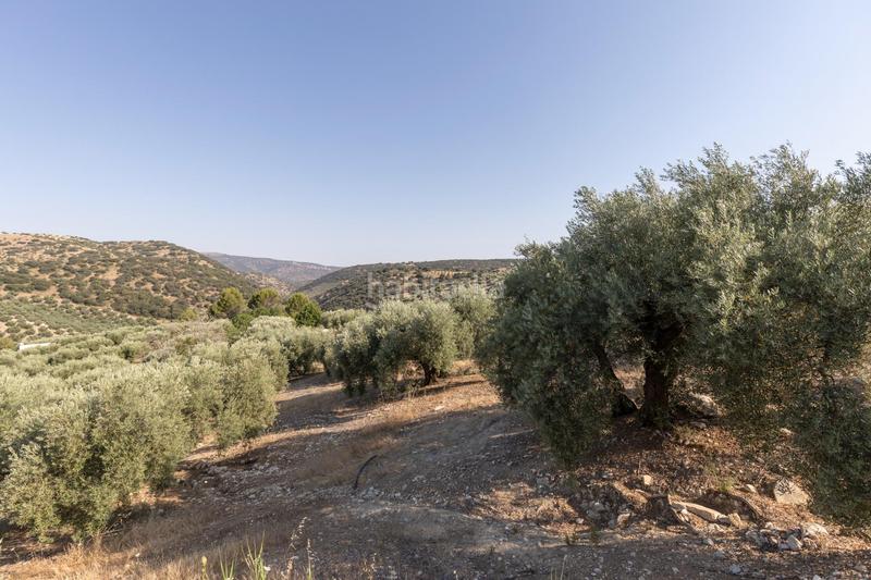 Foto ba0dc9af-28c3-43c4-9b25-c3cebf473e30. Finca rústica a Montefrío