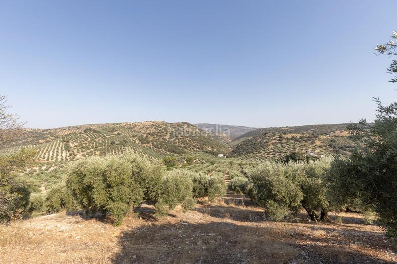 Foto d8a064f7-ace5-4a8b-ac3a-51b628076c15. Finca rústica a Montefrío