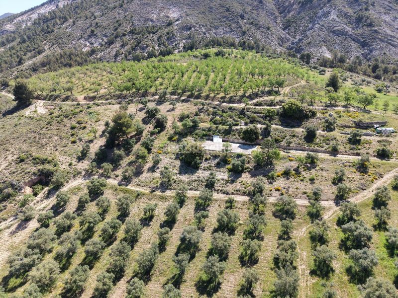Foto be88351d-d4b1-41a2-a4a2-9c18ae86a818. Finca rústica a extrarradio 237 a Monachil pueblo Monachil