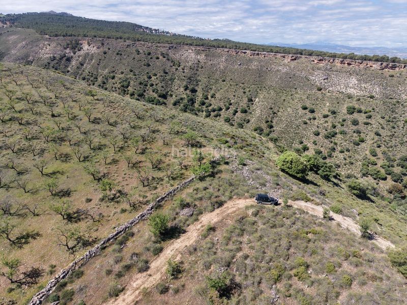Foto e89c89f7-27df-4f92-b950-72e1f0fe4f64. Finca rústica a extrarradio 237 a Monachil pueblo Monachil