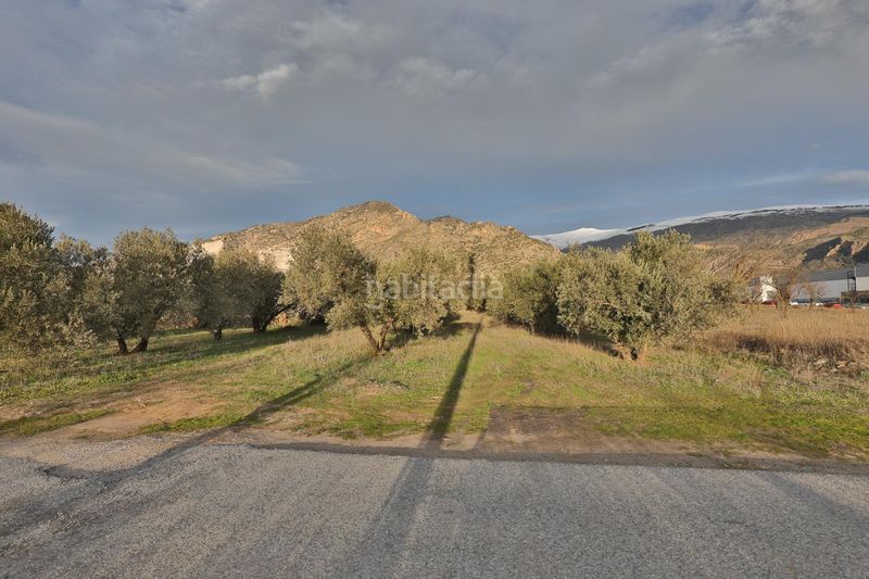 Foto c6bb6c0c-41d9-454f-9f02-31a3e5264ad2. Terreny residencial a Nigüelas