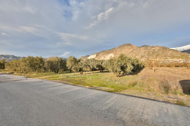 Foto f4cdb7f6-d065-4e11-b00d-6641508467b3. Terreny residencial a Nigüelas