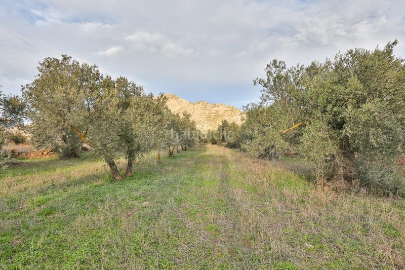 Foto f6f781a1-db4c-4b73-bc98-3f601dfbcfbc. Terreny residencial a Nigüelas