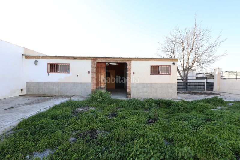 Foto 3c4cf869-cd69-4c99-9fe1-8ce449896a50. Terreny residencial a Cúllar Vega