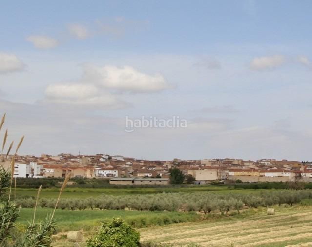 Foto 4c858e5e-2fca-4283-9a90-32eb637928cf. Finca rústica a Residencial Triana - Barrio Alto Gabias (Las)