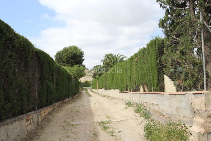 Foto ea068c77-7176-4da8-bb40-e07e1468c21a. Finca rústica a Residencial Triana - Barrio Alto Gabias (Las)