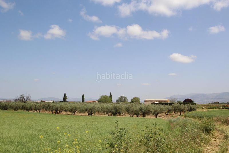 Foto f66e3312-64b7-4072-9e17-ec68682cb182. Finca rústica a Residencial Triana - Barrio Alto Gabias (Las)