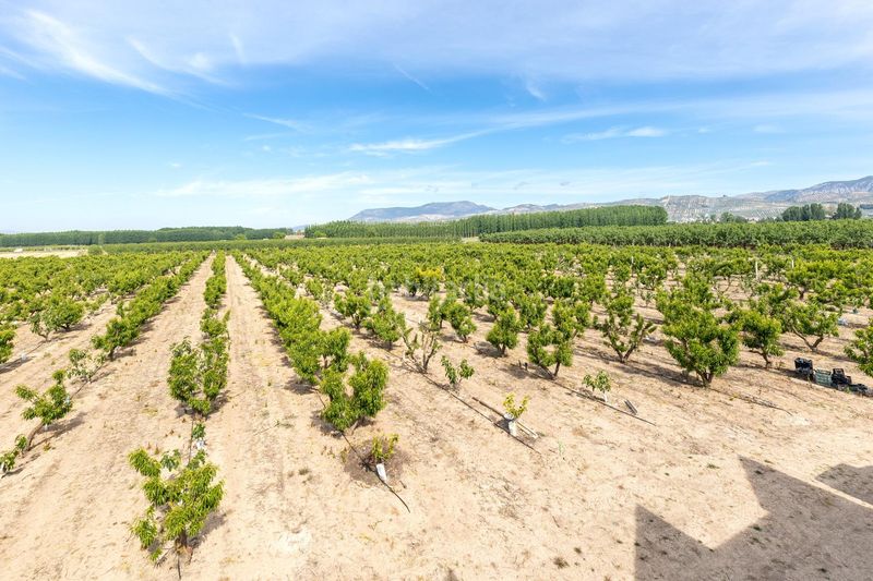 Foto a375aee5-7617-405c-ac04-d877abf0339d. Masia a Pinos Puente