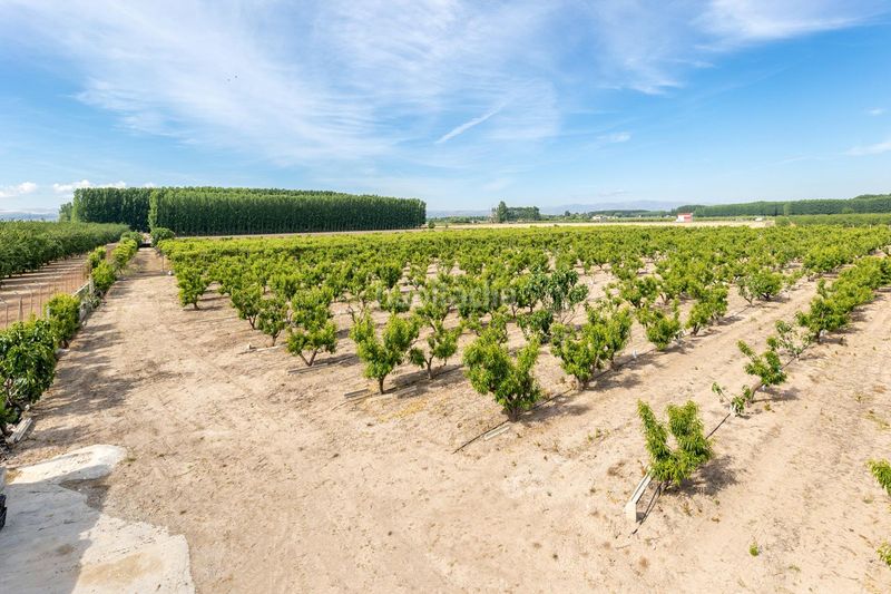 Foto d90964e4-88bb-4ee1-aa02-7637e82a5254. Masia a Pinos Puente