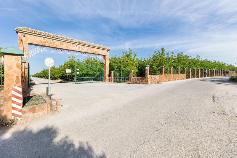 Foto e707f7e9-8ff3-4fdf-a2b0-61ecf7c3f9b6. Masia a Pinos Puente