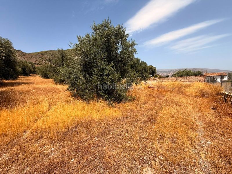 Foto b326a775-4d1a-4c91-8dba-5b7cfca9b430. Terreny residencial a Padul