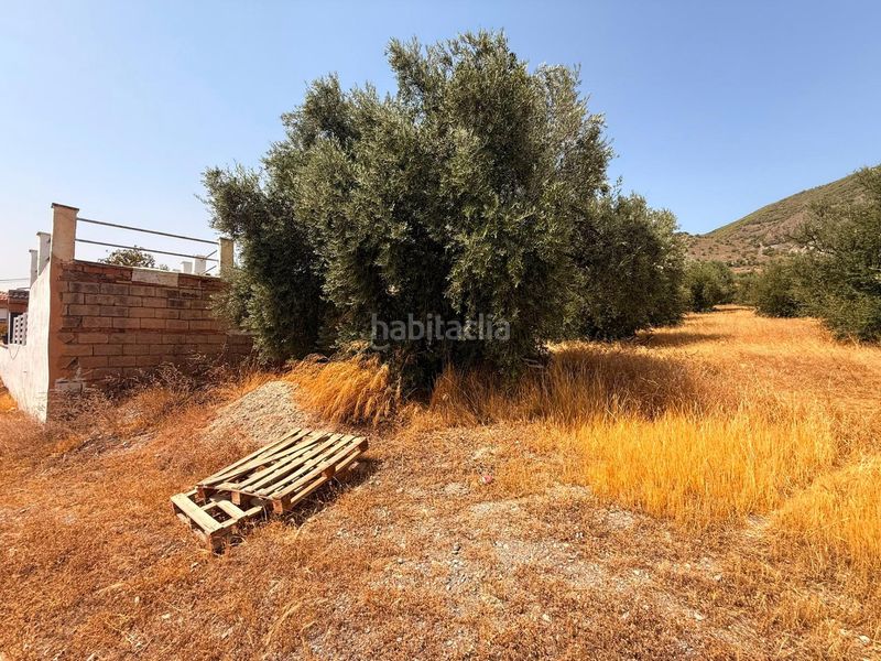 Foto caeacf84-c3bd-4890-85d4-64f208a2884a. Terreny residencial a Padul