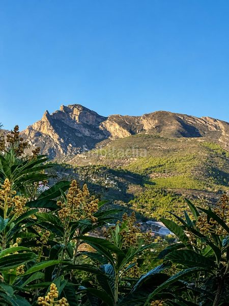 Foto 75f22a75-a4ab-4b60-96bd-bf1c30293e89. Finca rústica terreno en venta en Ítrabo